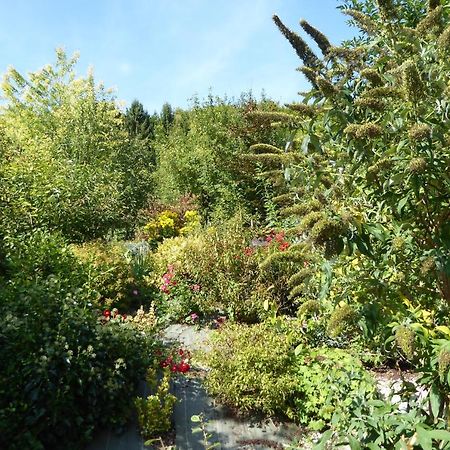 Dans Un Jardin Villa Apremont-la-Foret Kültér fotó