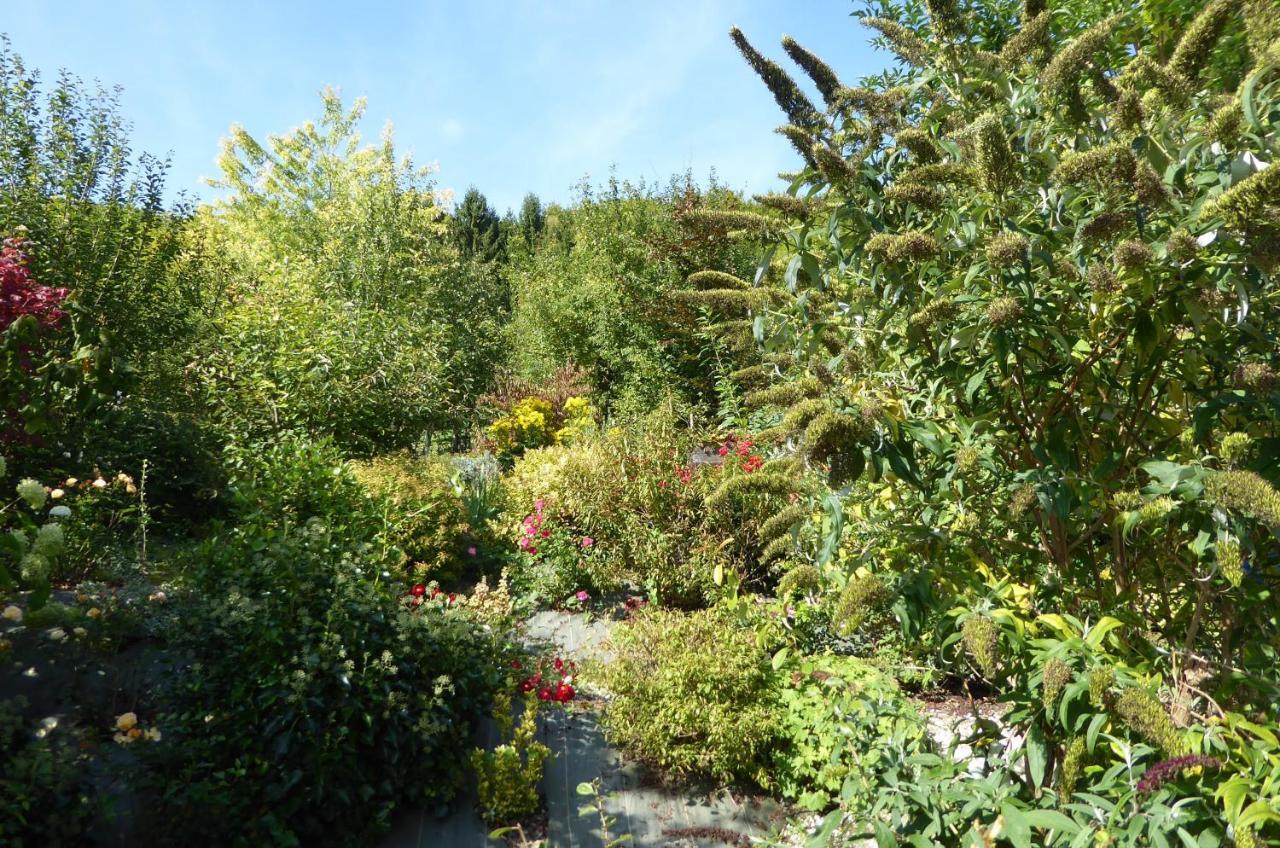 Dans Un Jardin Villa Apremont-la-Foret Kültér fotó